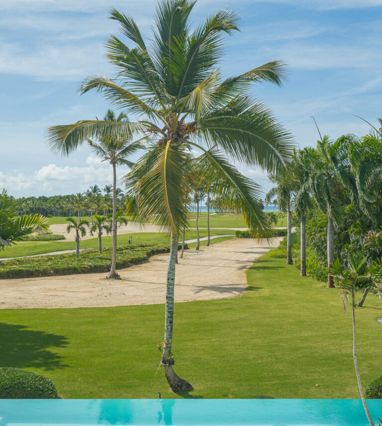 villa for rent in punta cana