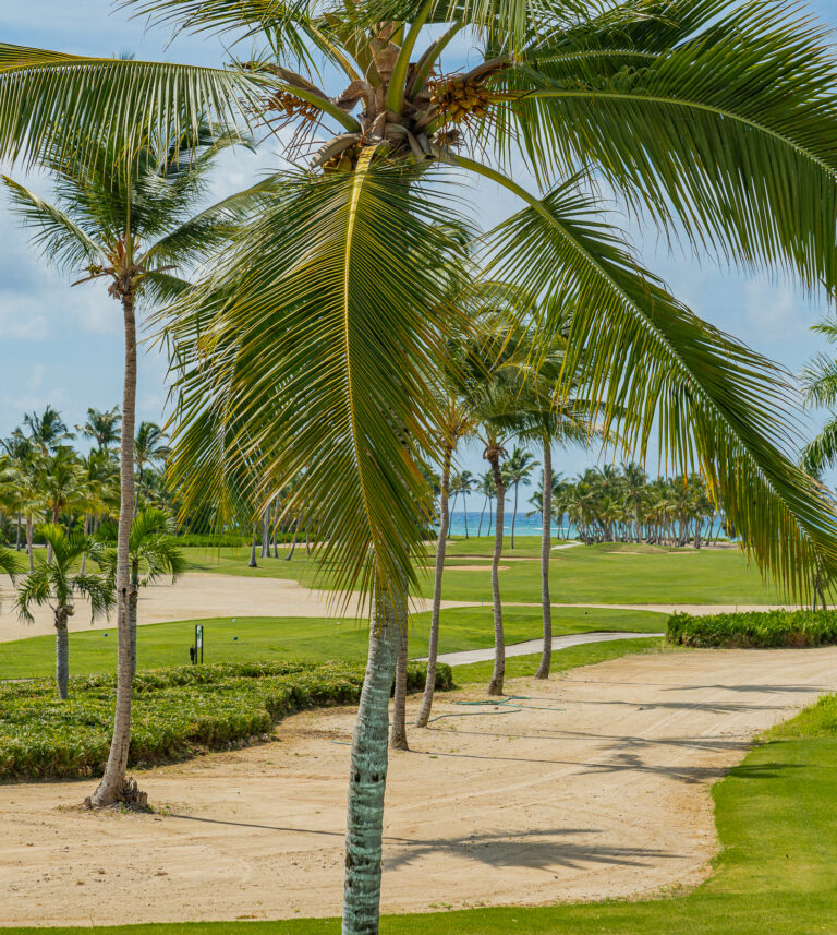 villa for rent in punta cana