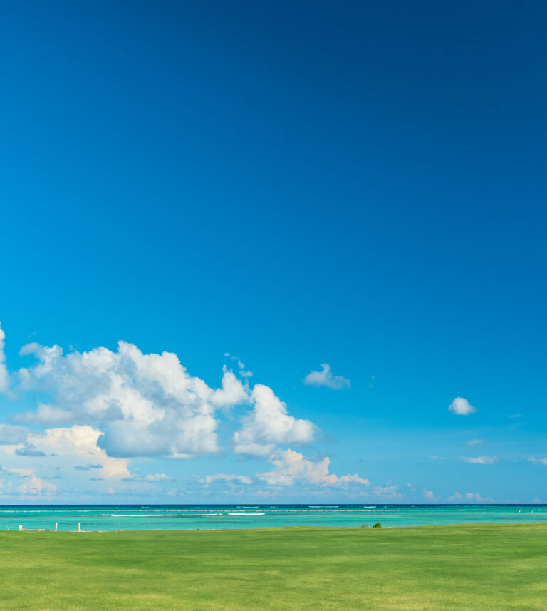 oceanfront villa in punta cana