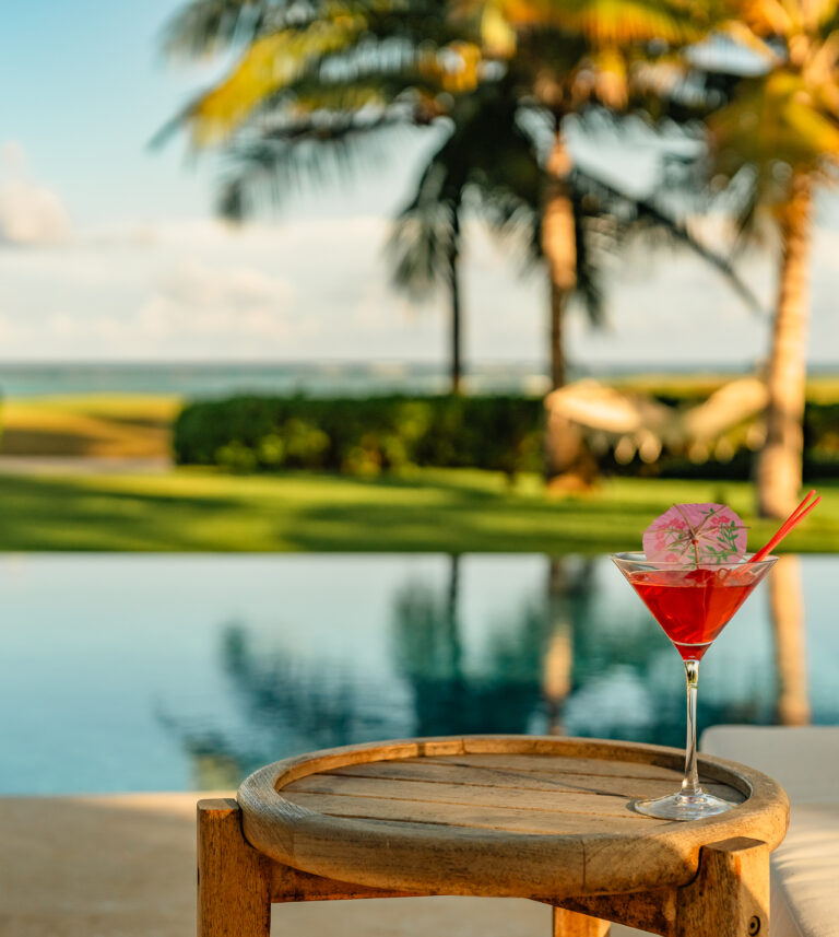 oceanfront villa for rent in punta cana