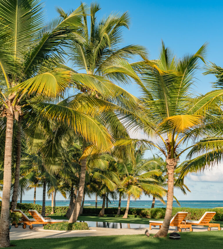 oceanfront villa for rent in punta cana